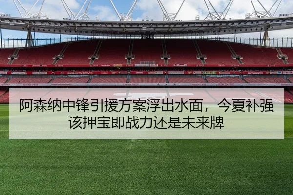 阿森纳中锋引援方案浮出水面，今夏补强该押宝即战力还是未来牌